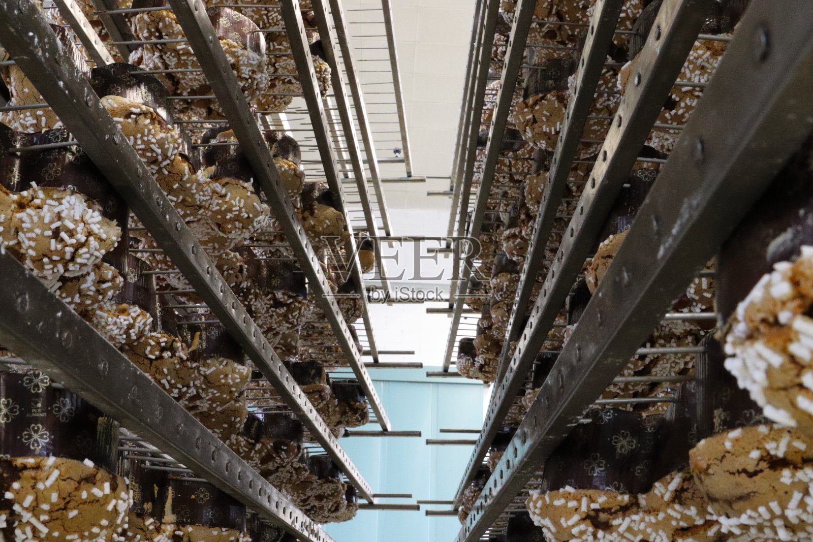 糕点店正在准备复活节鸽子照片摄影图片