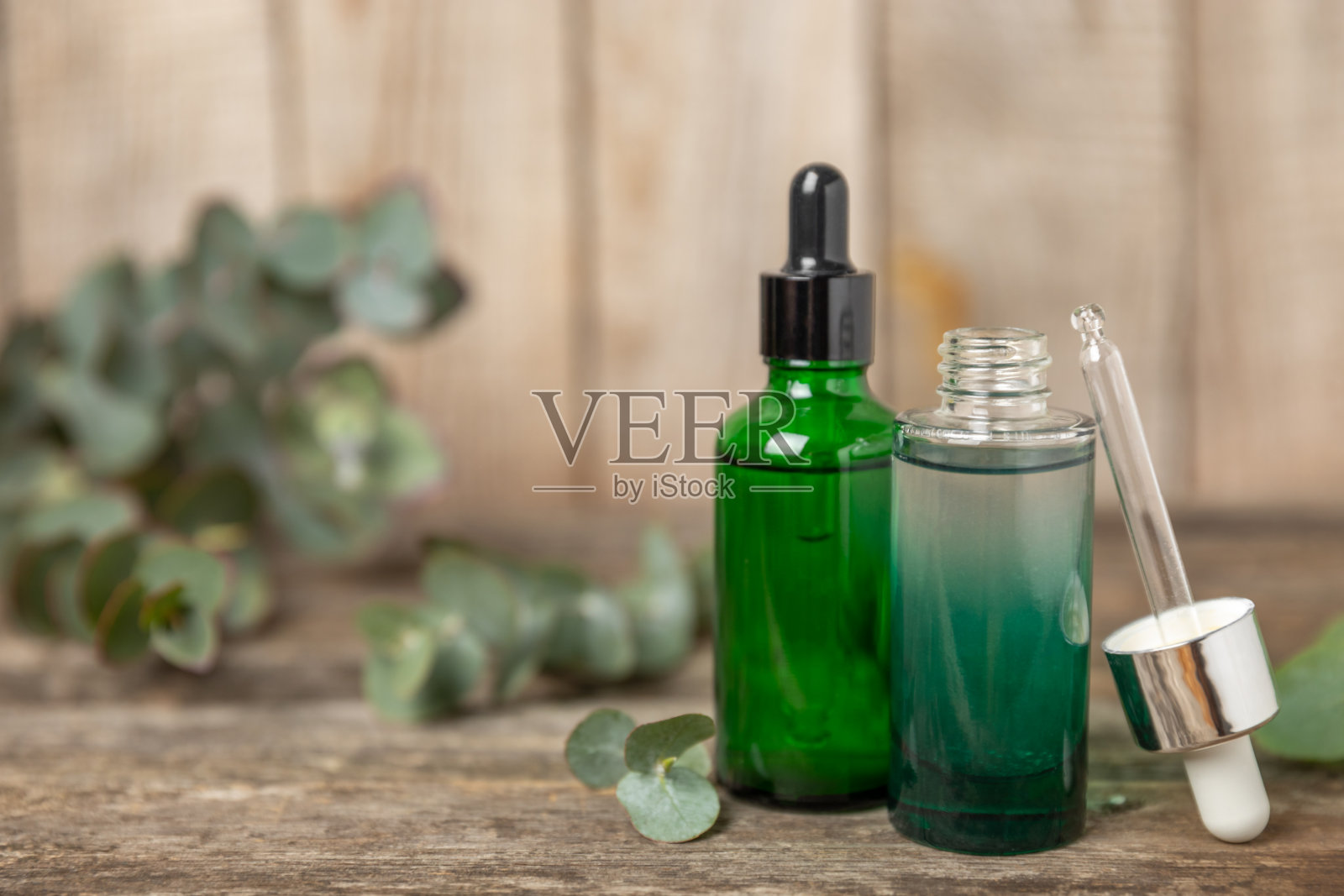 桉树精油在一个玻璃瓶与绿色桉树叶子的背景。芳香疗法的概念。水疗中心。天然有机成分,用于化妆品和身体护理。本空间照片摄影图片