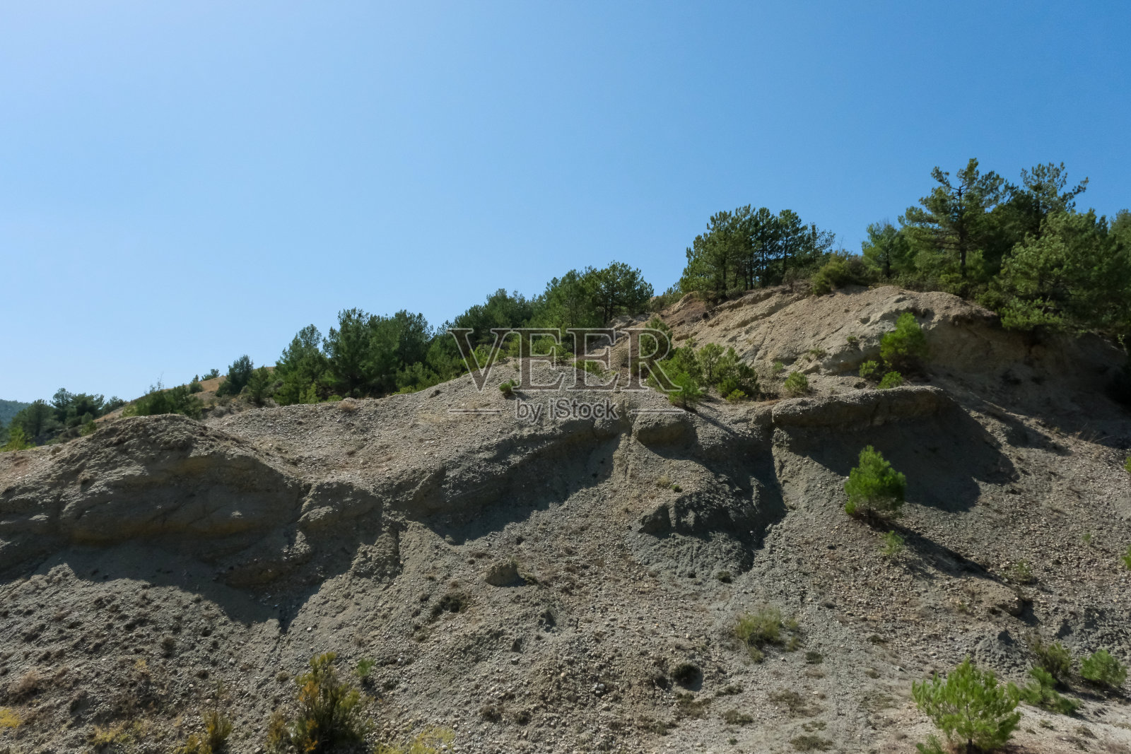 风景照片,自然,森林照片摄影图片