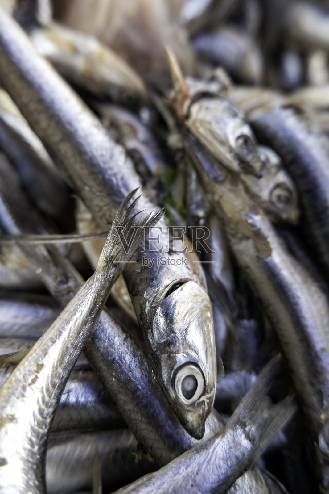 市场上的新鲜沙丁鱼照片摄影图片