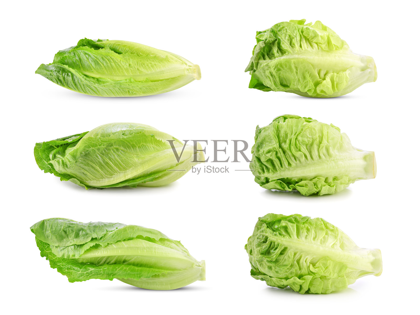 一套新鲜的绿色cos生菜孤立在白色照片摄影图片