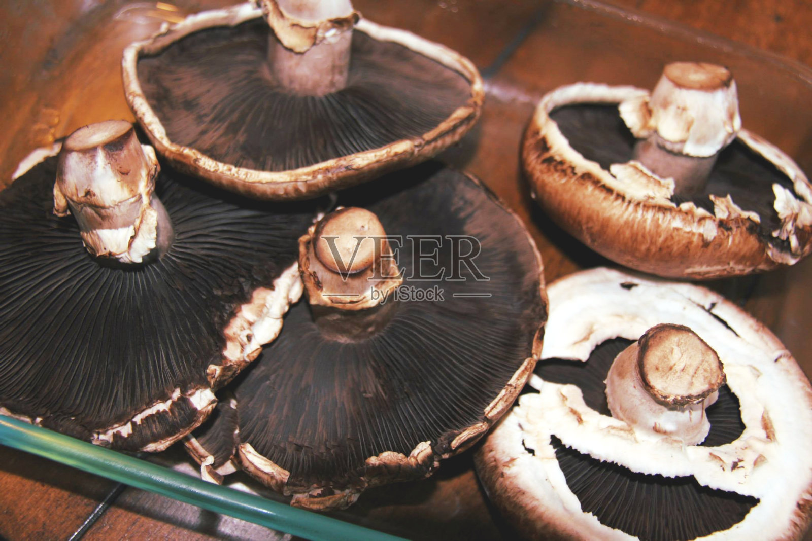 蘑菇:蘑菇。照片摄影图片