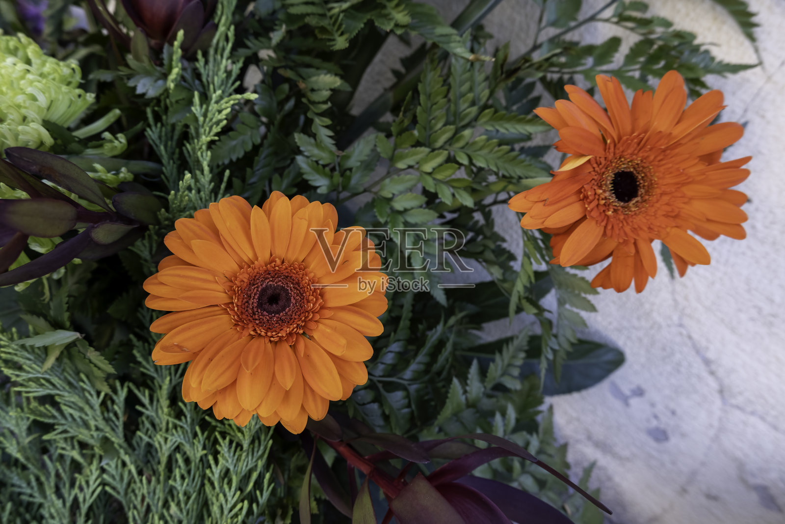 一束橙花照片摄影图片