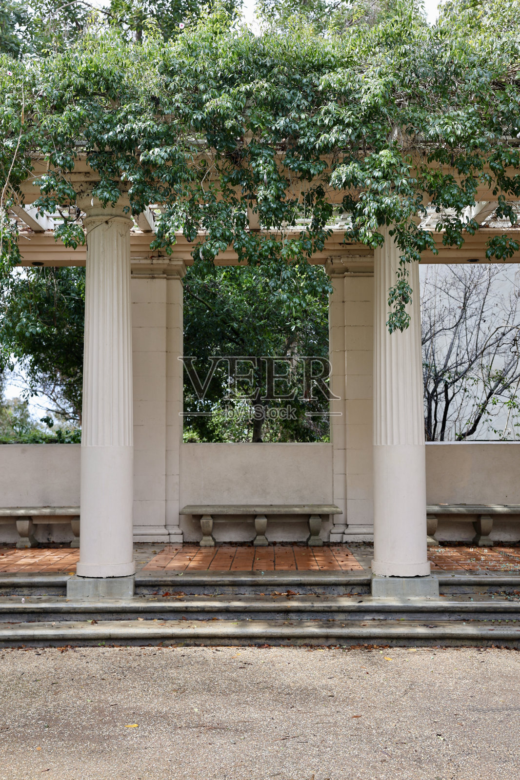 藤盖凉亭在正式的花园照片摄影图片