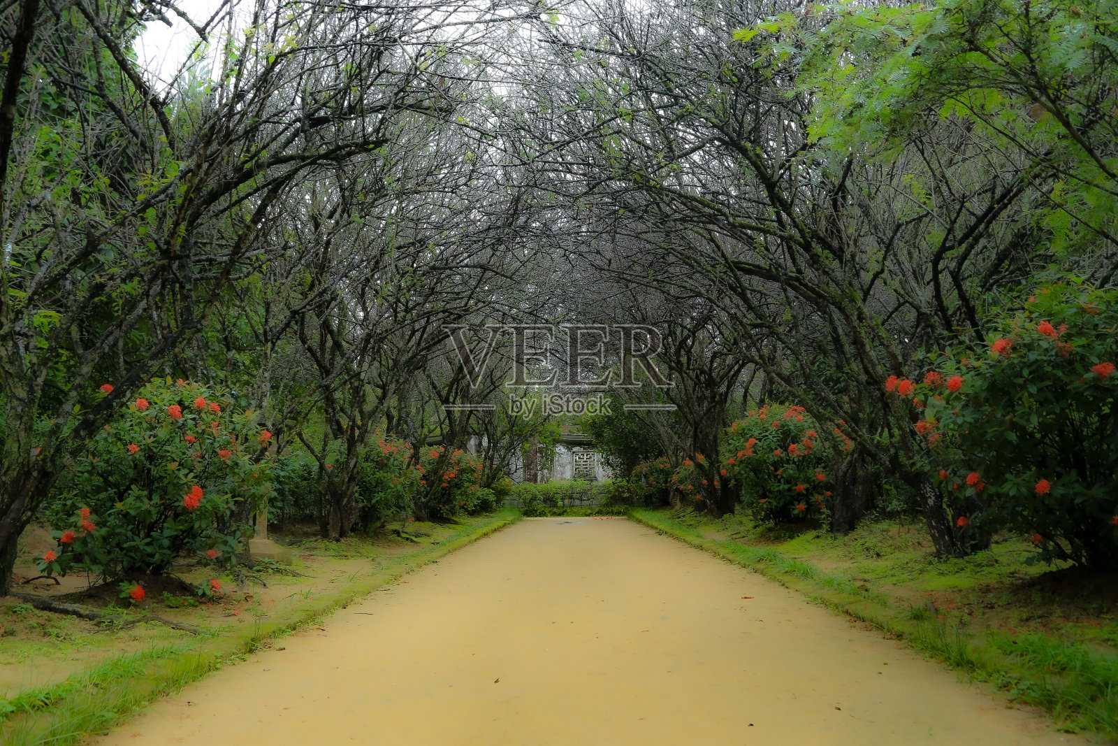 越南最佳照片摄影图片