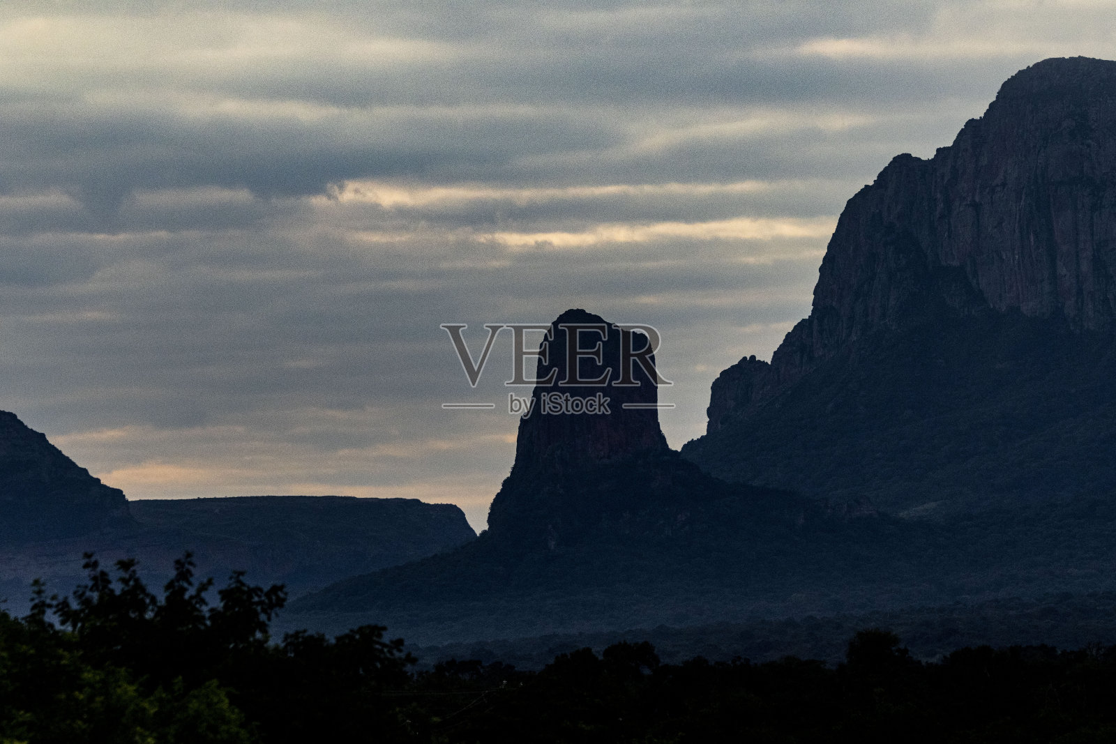 塞拉尼娅·德·乔奇斯照片摄影图片