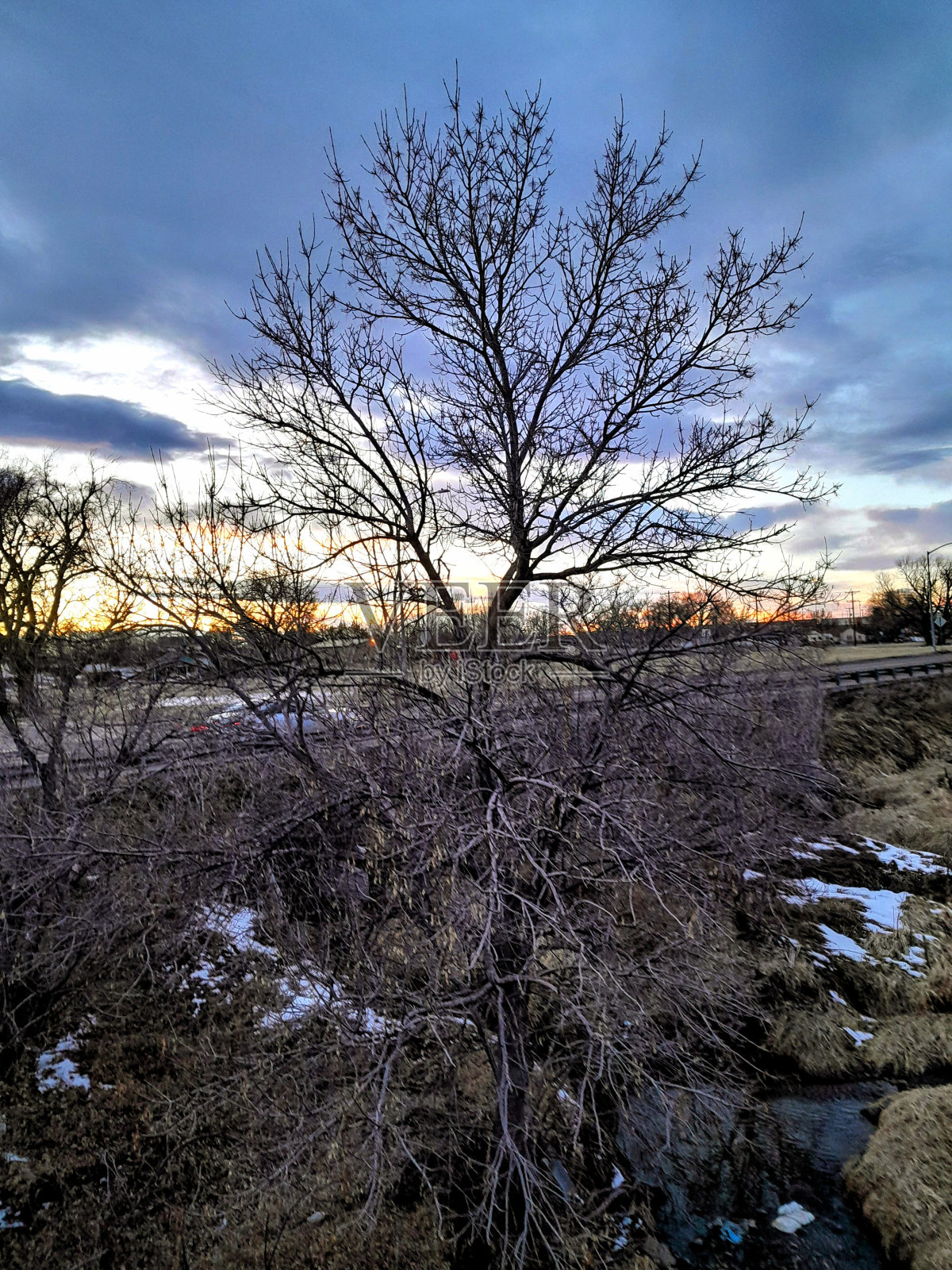 冬季夕阳色照片摄影图片