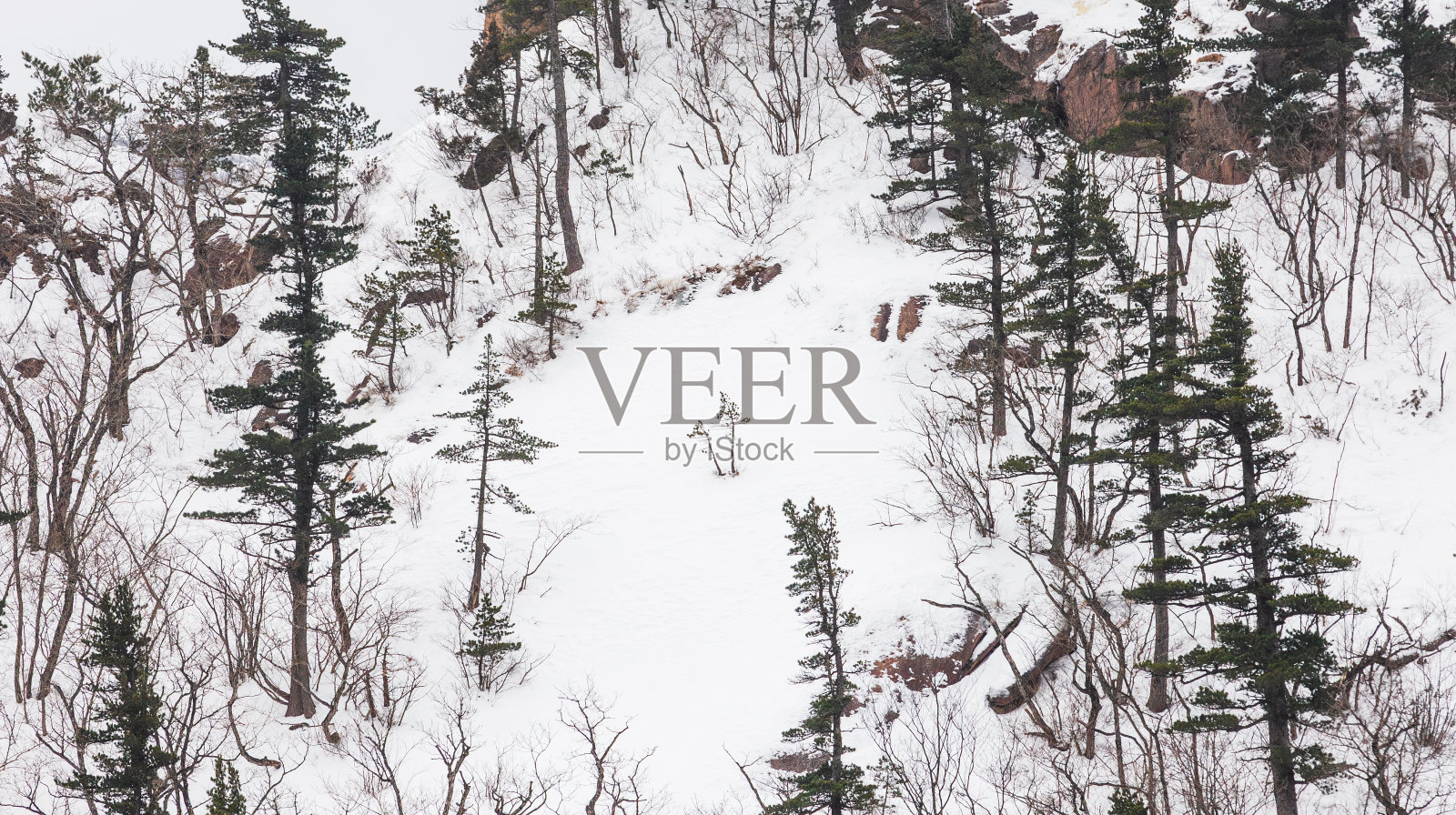 雪山景观。近距离照片摄影图片