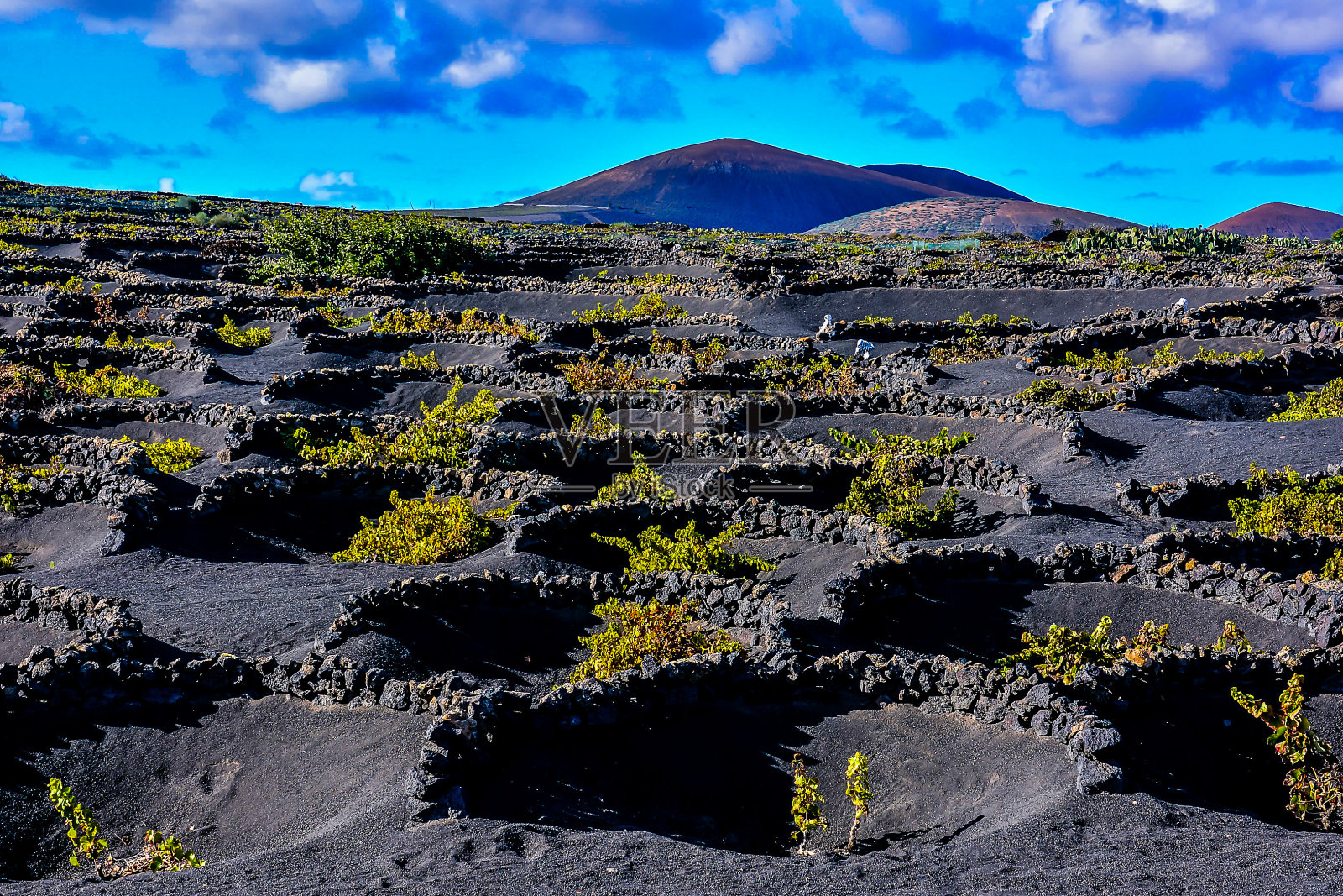 西班牙热带火山加那利群岛景观照片摄影图片