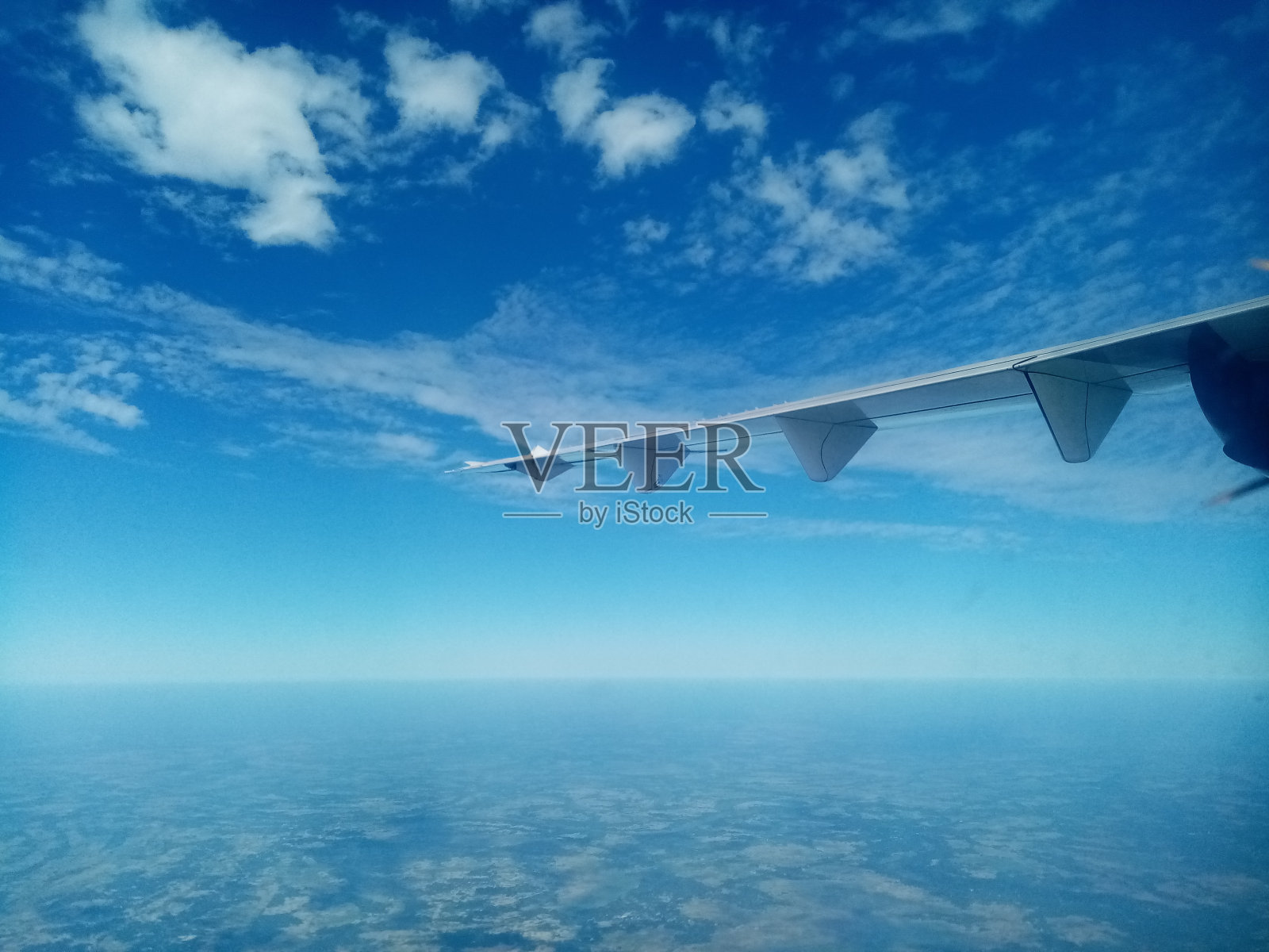 展翅飞翔照片摄影图片