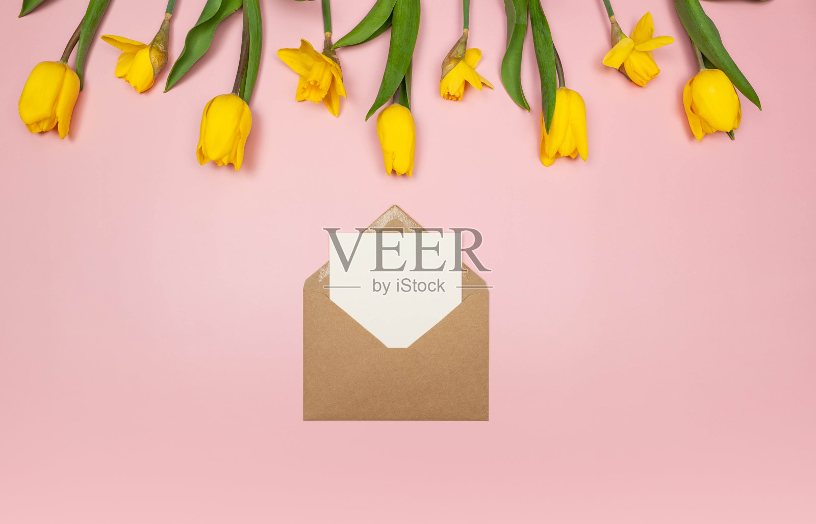 粉色背景上的黄色郁金香和水仙花的俯视图。牛皮纸信封,白色卡片。照片摄影图片