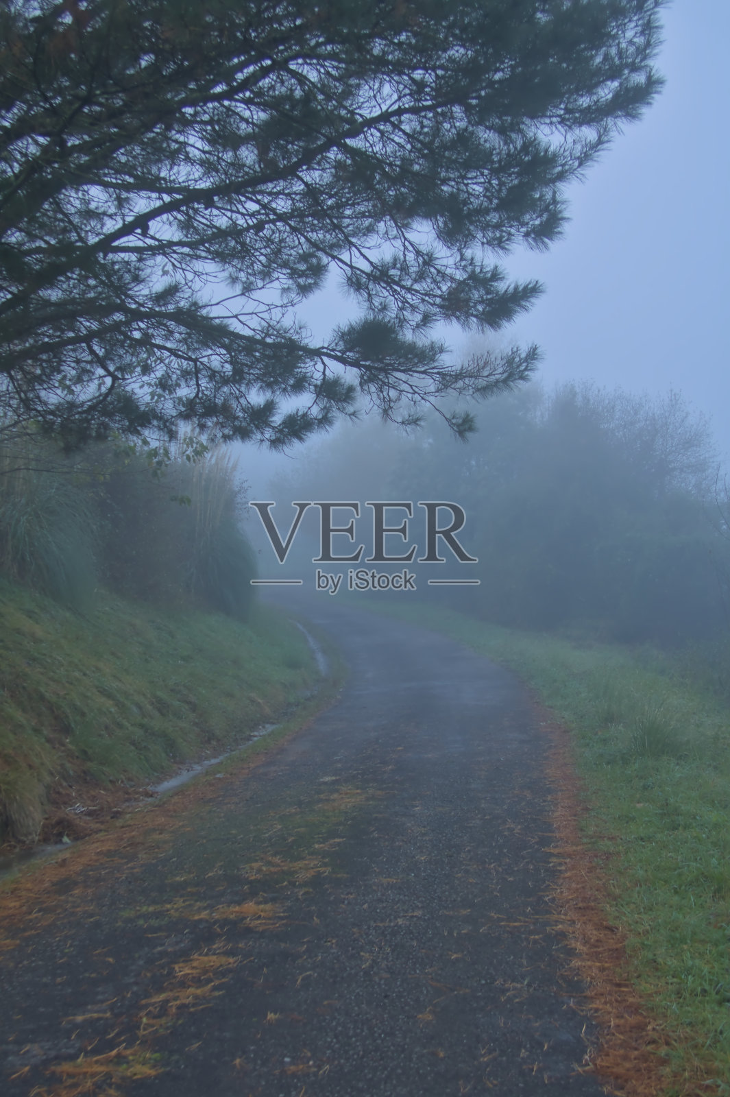 冬日的早晨,巴斯克地区的乡间小路照片摄影图片