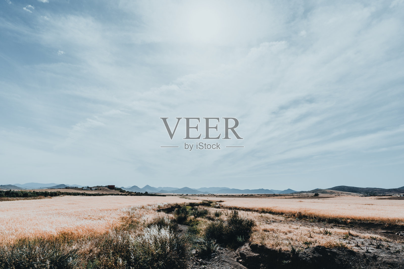 黎明漂移照片摄影图片