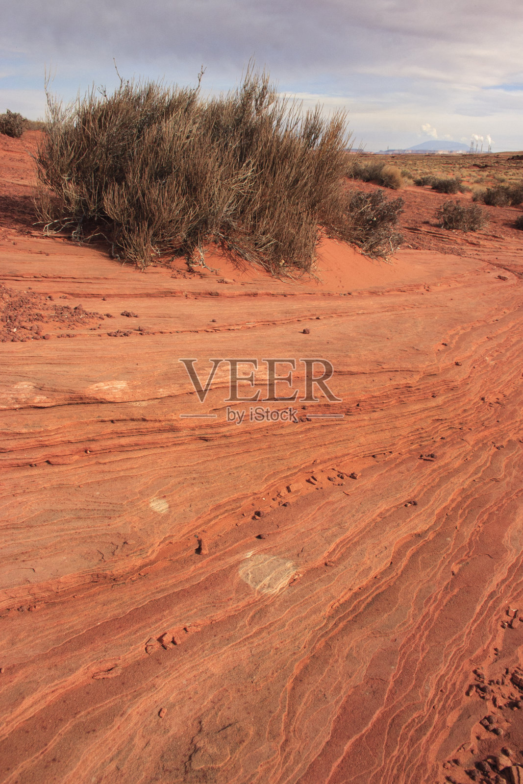 沙漠植物。美国亚利桑那州格伦峡谷砂岩地层中的岩层照片摄影图片