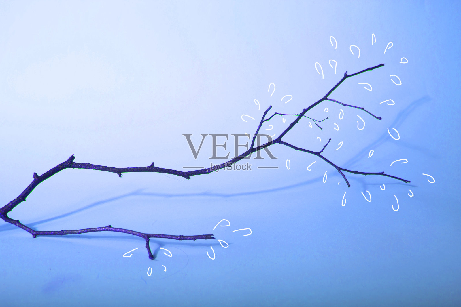 光秃秃的树枝和手绘的白叶子。春天的背景照片摄影图片