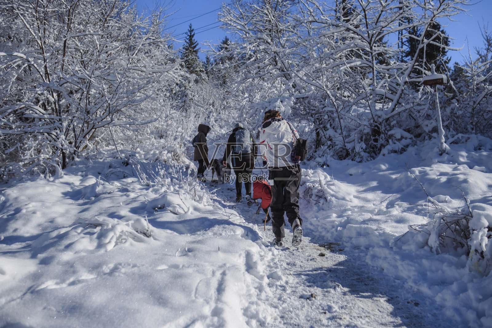 在雪上徒步旅行的愉快的一天照片摄影图片