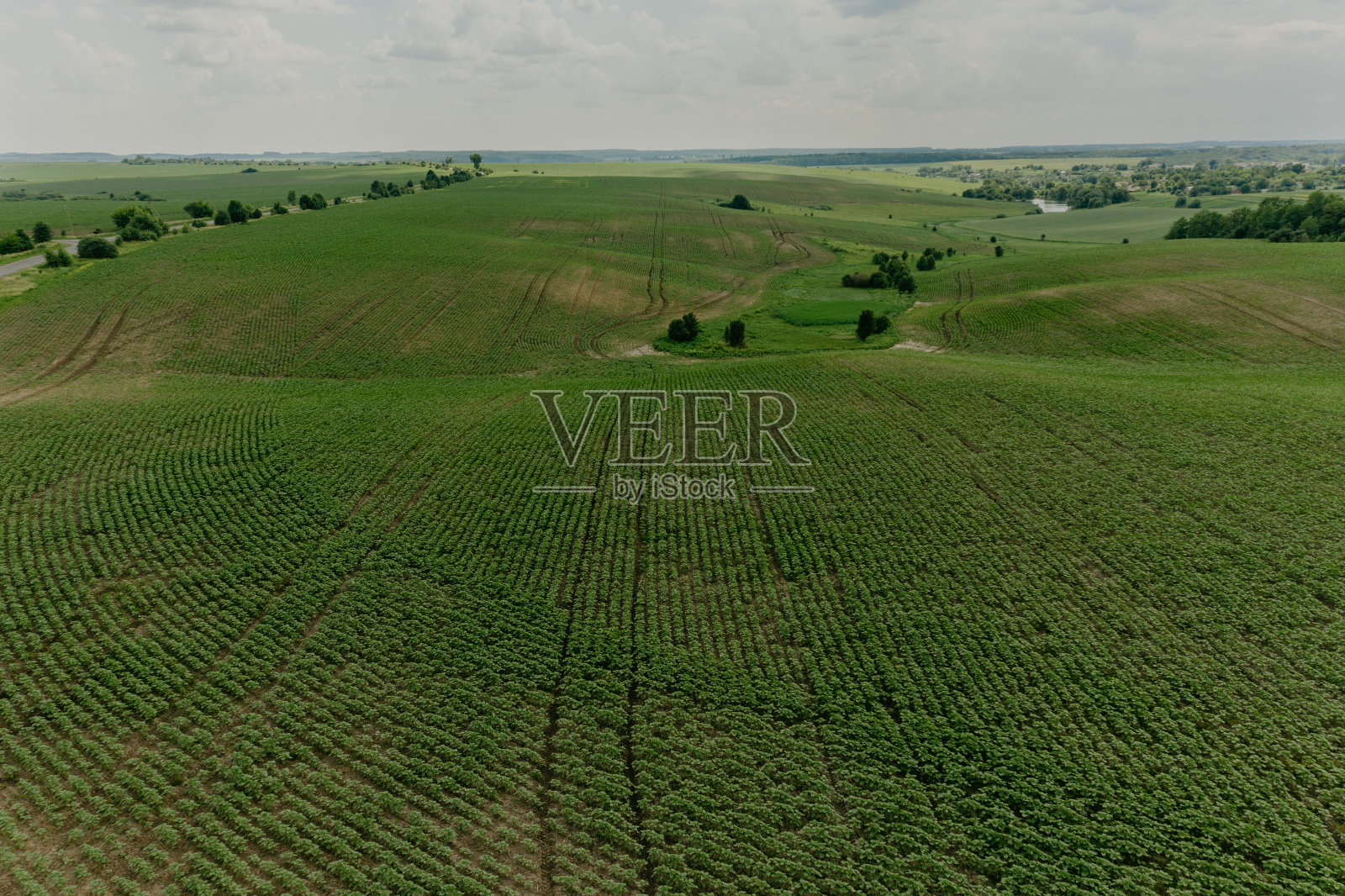 夏日鸟瞰图,空中绿色自然乌克兰。草野蓝天白云照片摄影图片