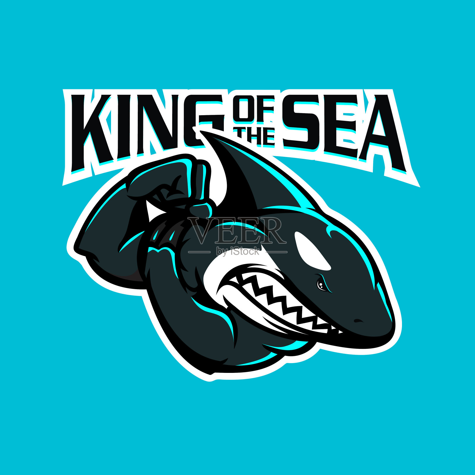 Orcinus Orca,海洋之王。插画图片素材