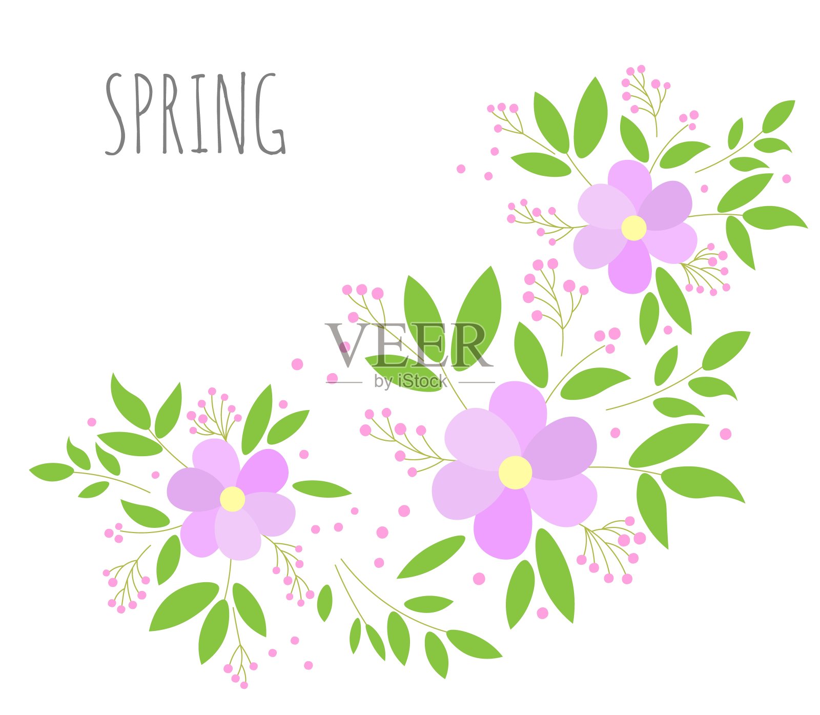 春天。花和叶子。优雅的花卉背景设置与文字的地方。插画图片素材