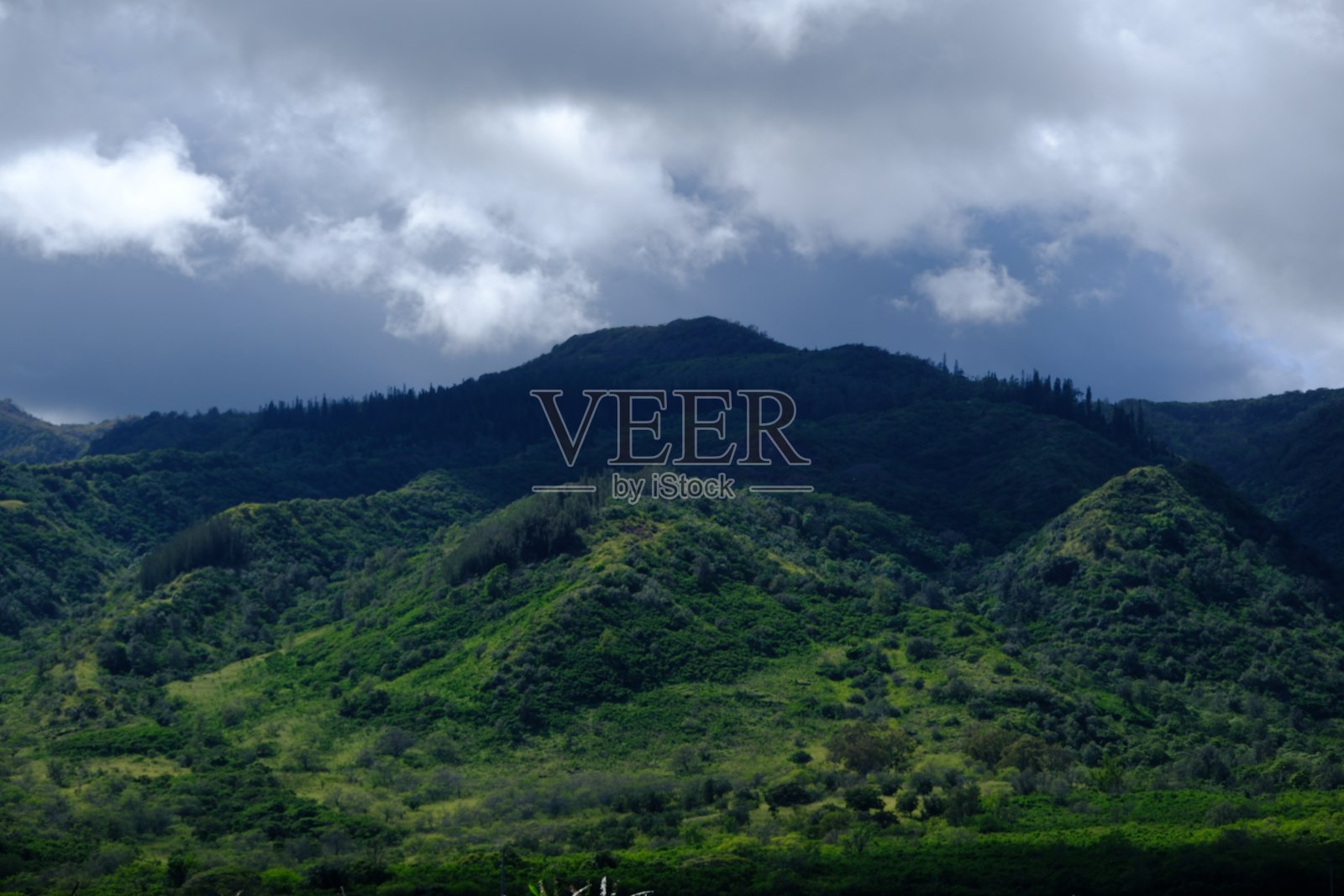 充满活力的绿色斜坡景观景观照片摄影图片