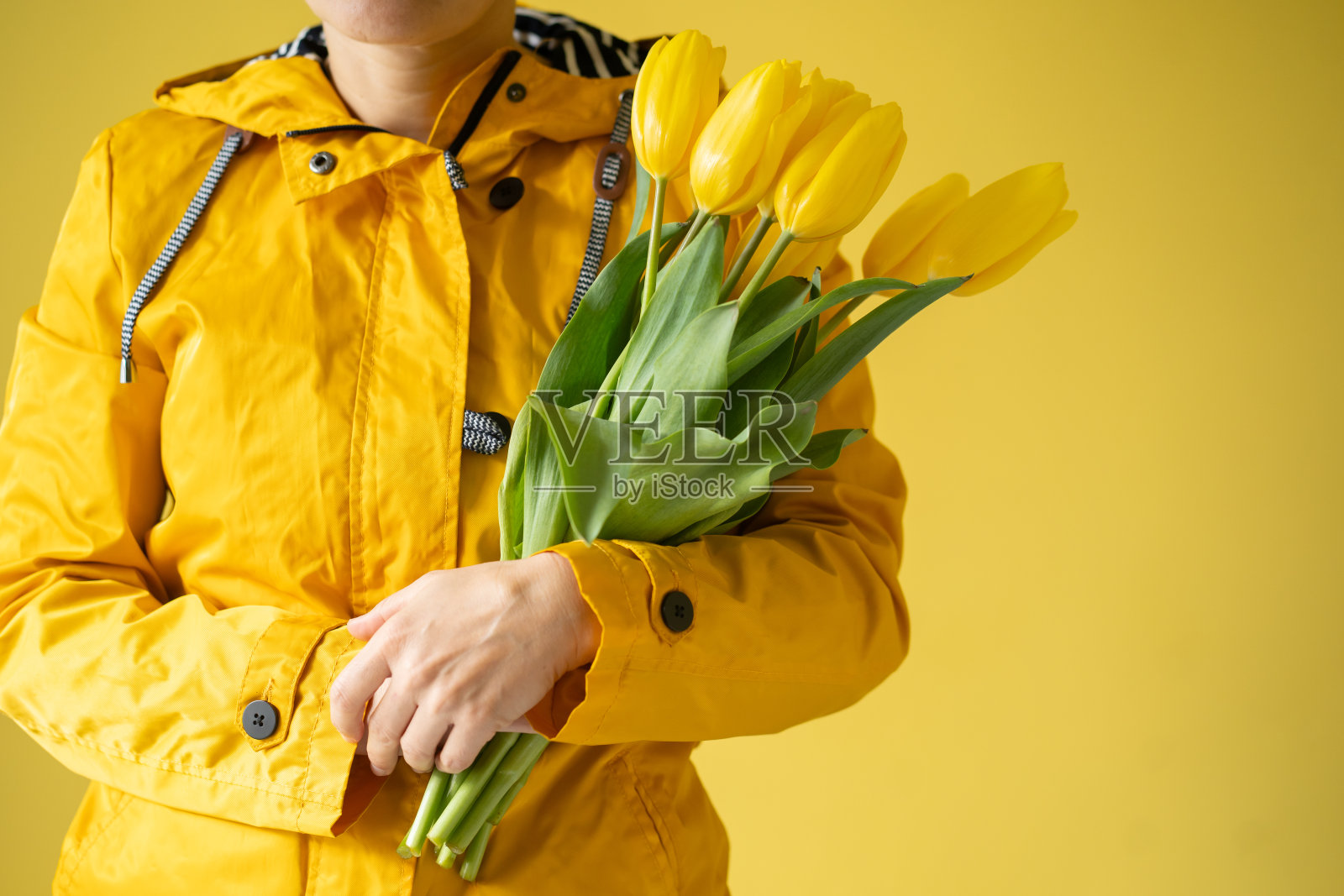黄色背景上穿黄色衣服的人拿着郁金香照片摄影图片
