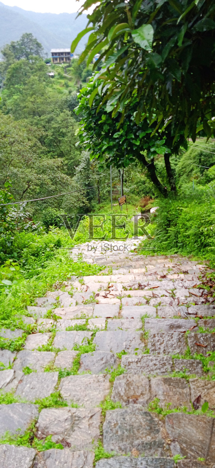 楼梯照片摄影图片