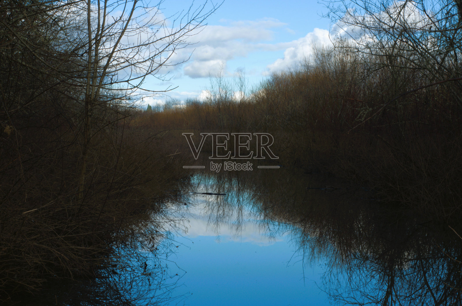 斯莱倒影在湿地的河面上照片摄影图片