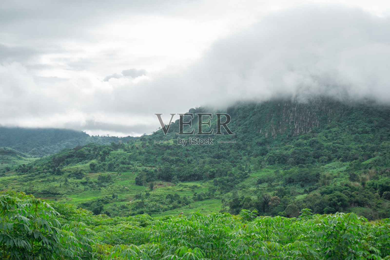 自然照片摄影图片