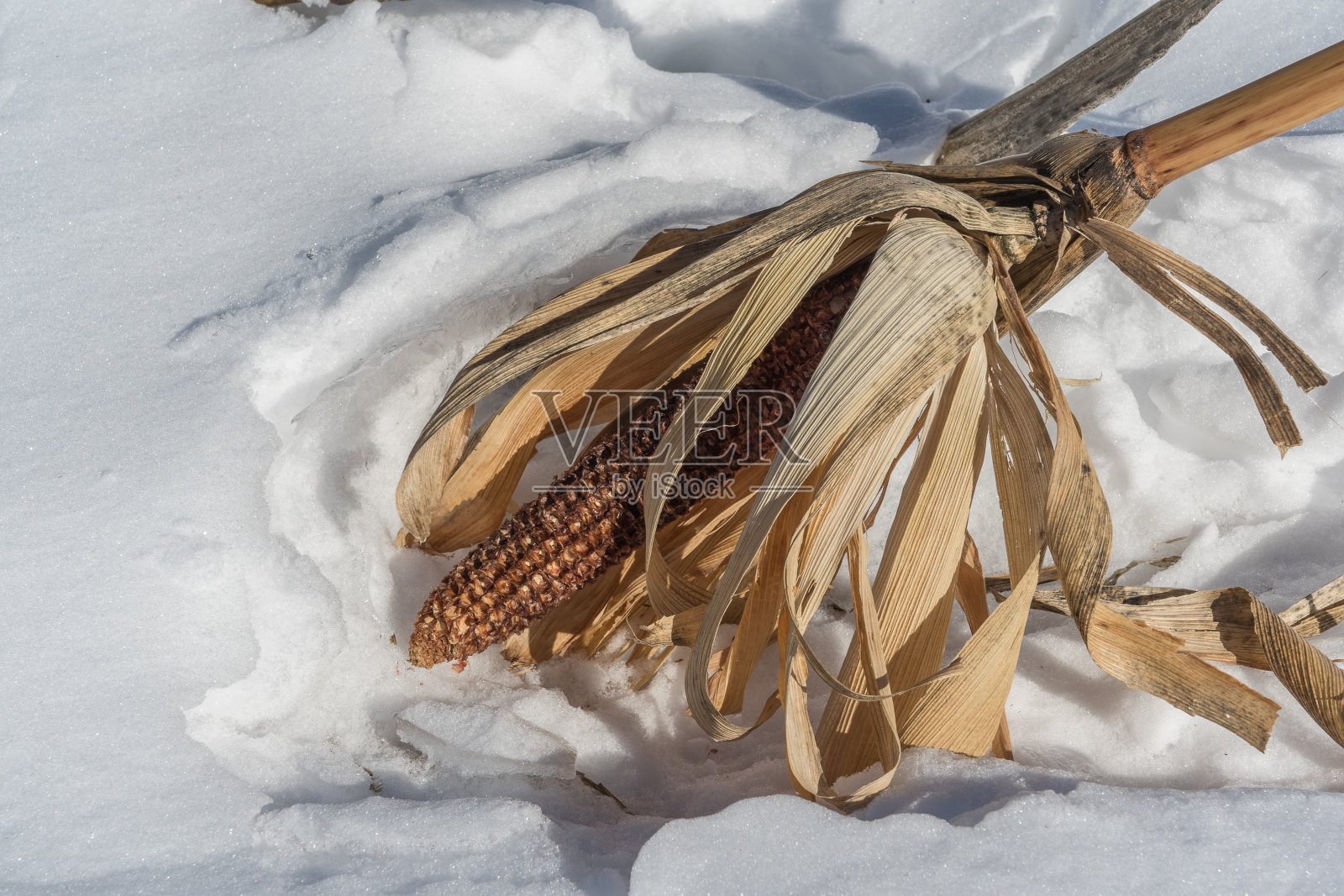 冬季雪景照片摄影图片