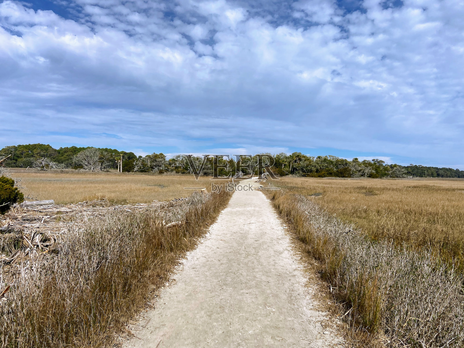 南卡罗来纳州的植物湾海滩照片摄影图片