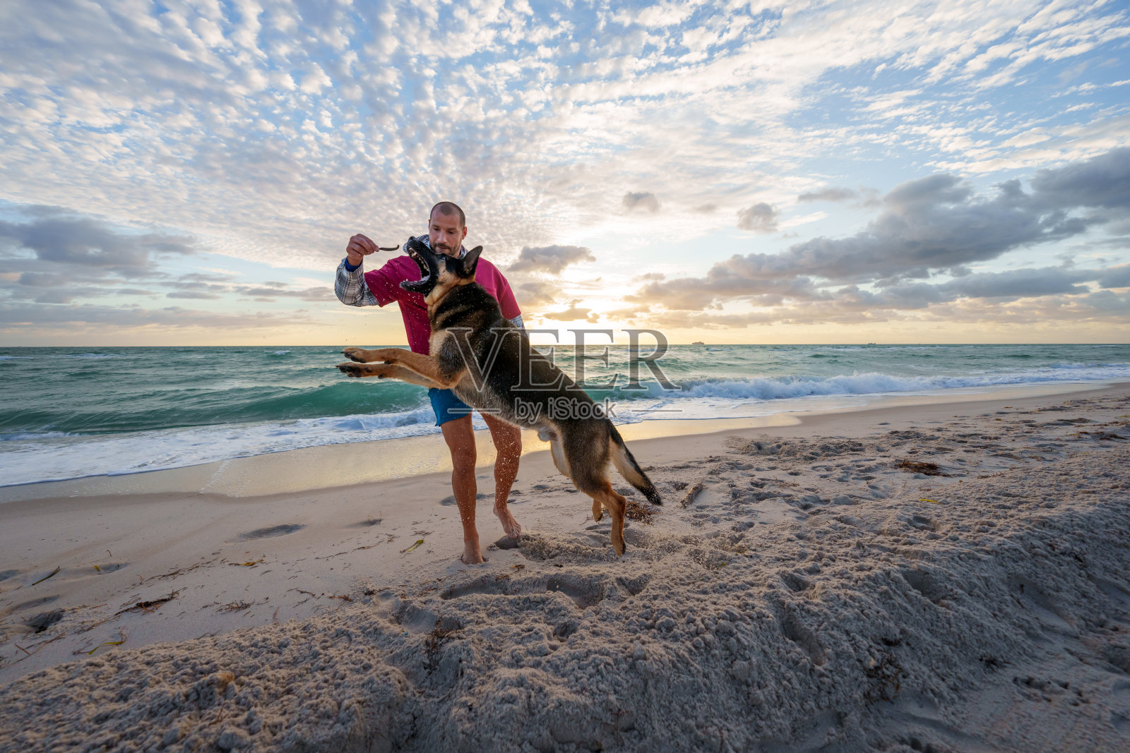 家狗和它的主人在沙滩上玩耍照片摄影图片