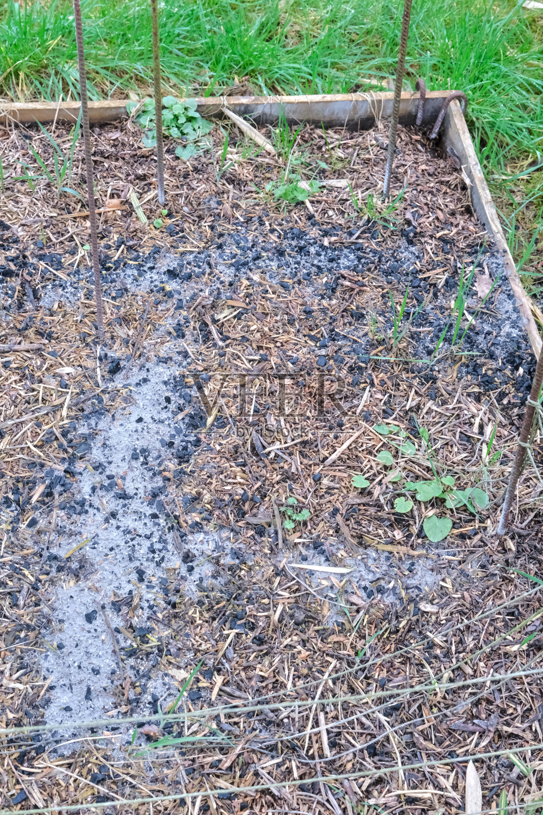 灰烬散落在覆盖着木屑的菜园表面。照片摄影图片