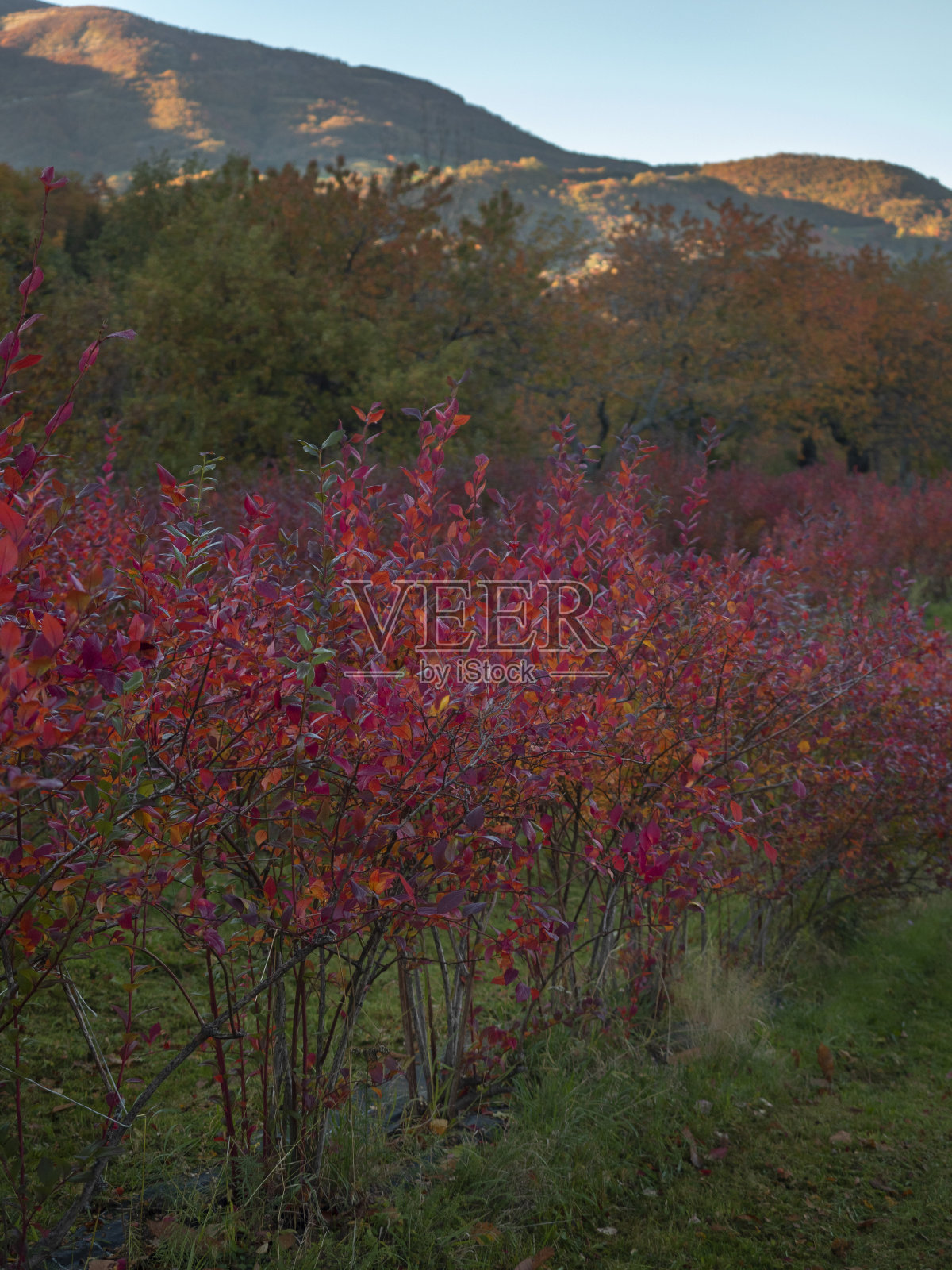 看山照片摄影图片