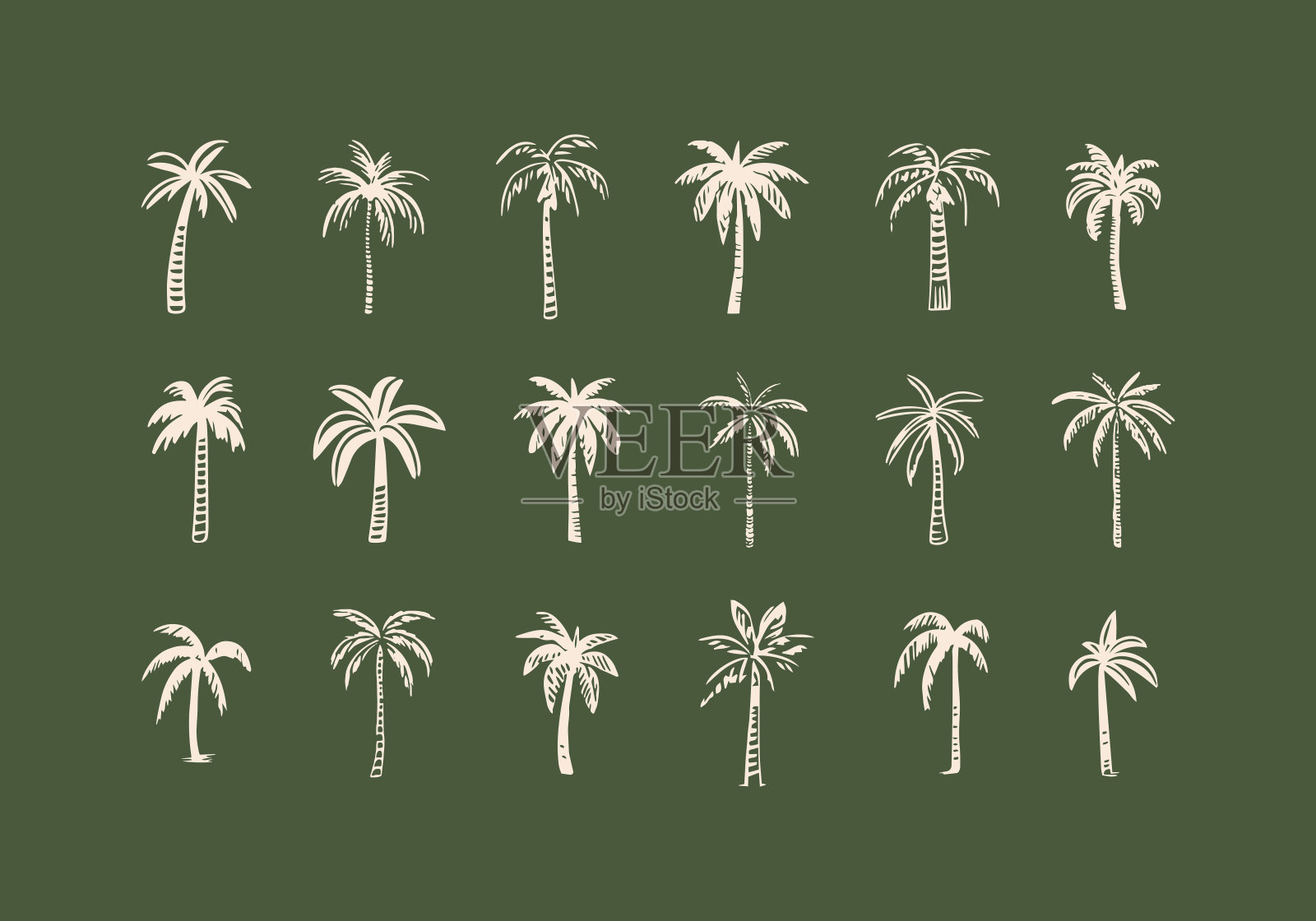 手绘棕榈树涂鸦集插画图片素材