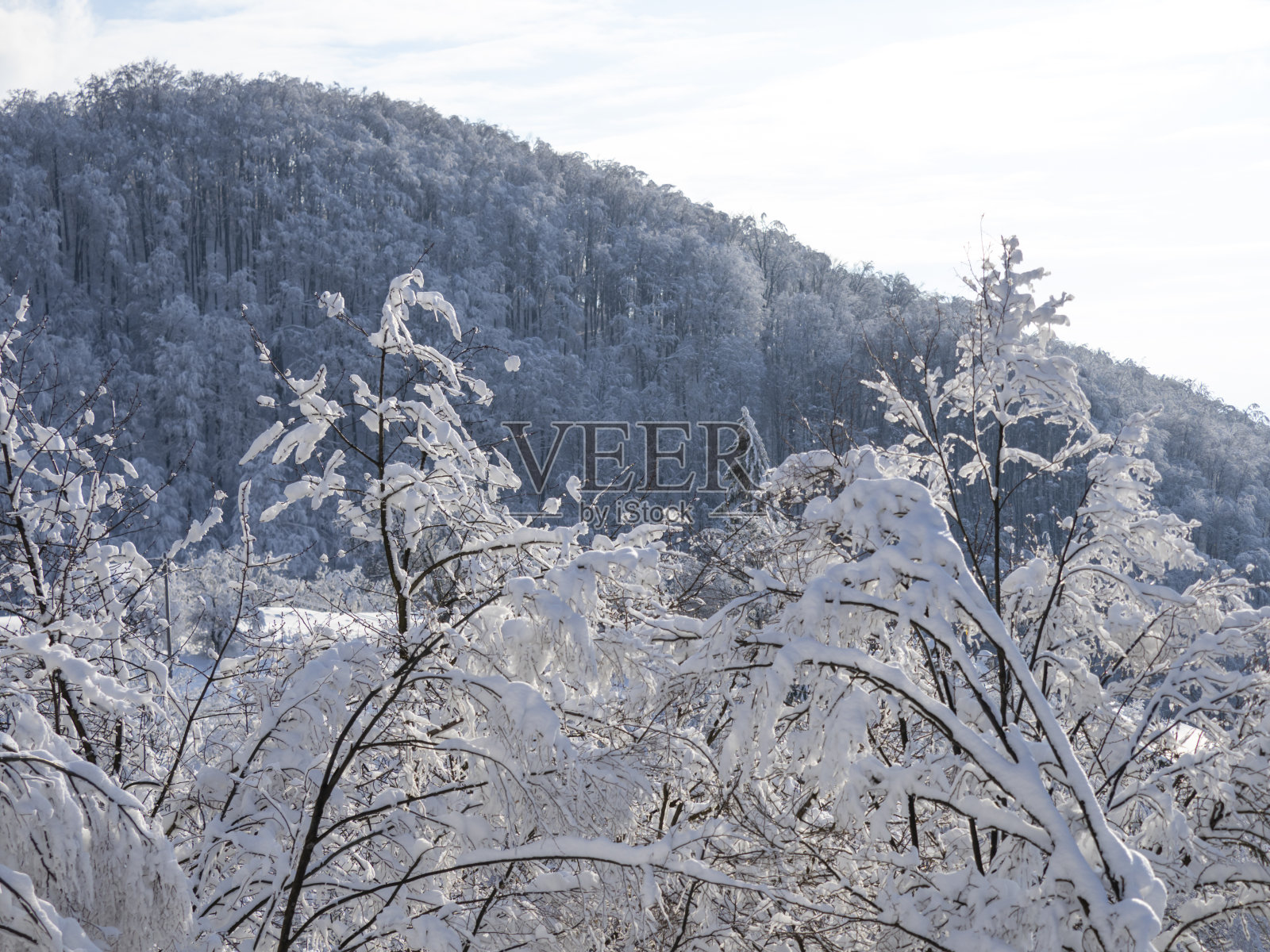 冬天的风景照片摄影图片