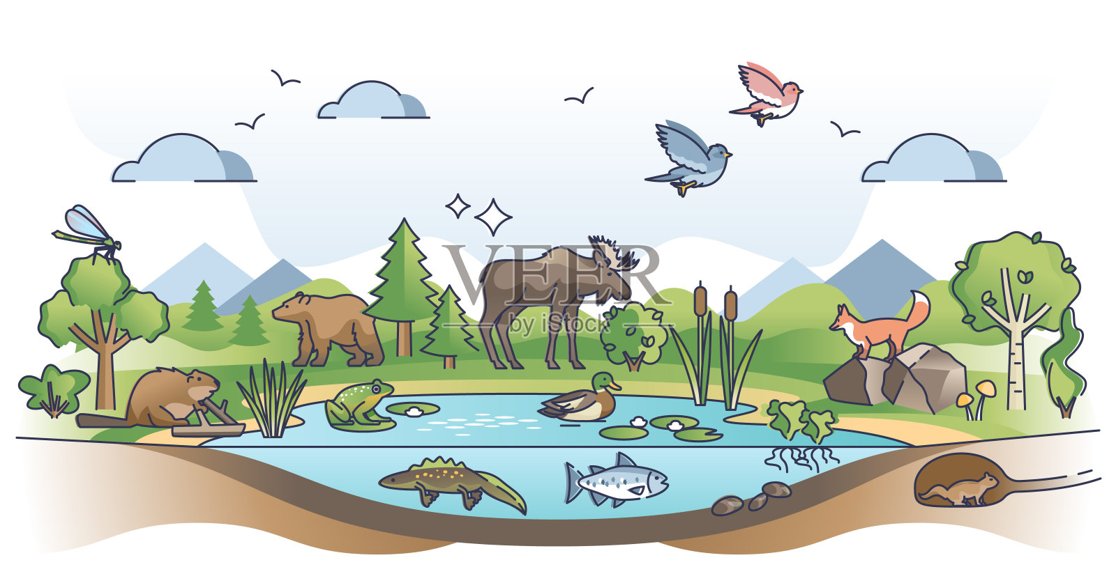 生态系统是生物和动物的自然栖息地插画图片素材