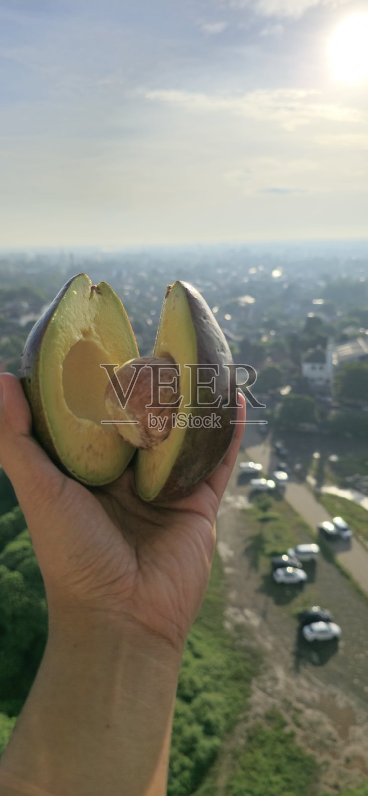 真正成熟的鳄梨照片摄影图片