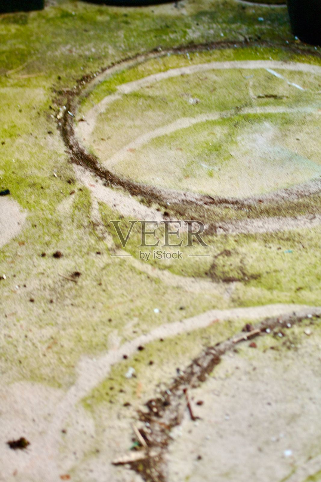 肮脏,苔藓斑块,露台甲板照片摄影图片