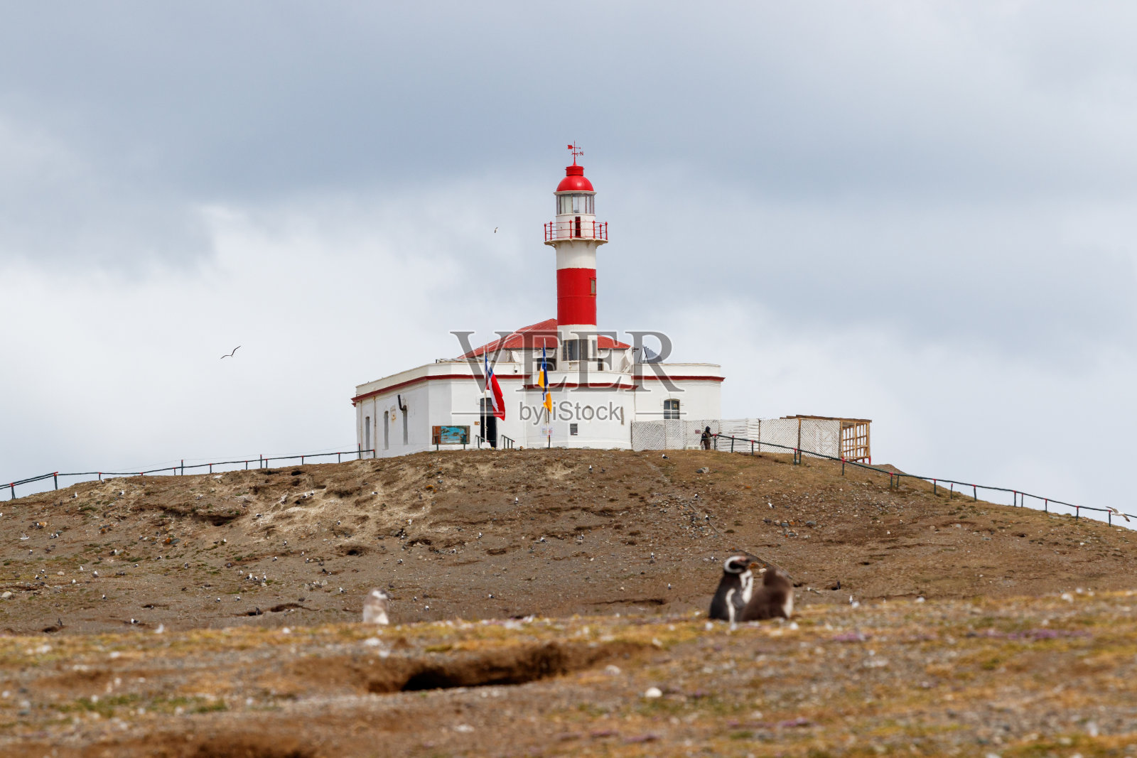 法罗岛马格达莱纳,海洋信号灯塔在著名企鹅保护区国家纪念碑马格达莱纳岛在麦哲伦海峡的蓬塔阿雷纳斯巴塔哥尼亚海岸照片摄影图片