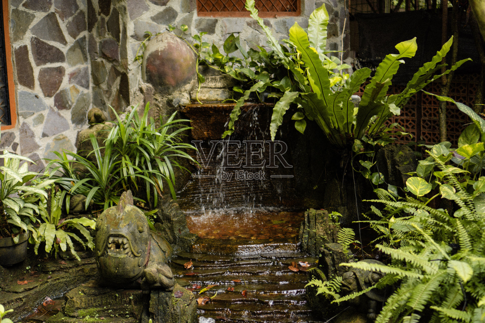 植物,首页照片摄影图片