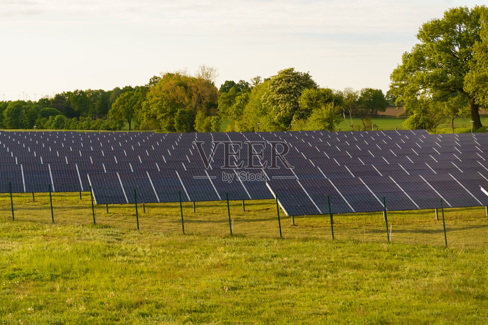 太阳能电池板在夏日傍晚的田野里照射着夕阳的光芒照片摄影图片
