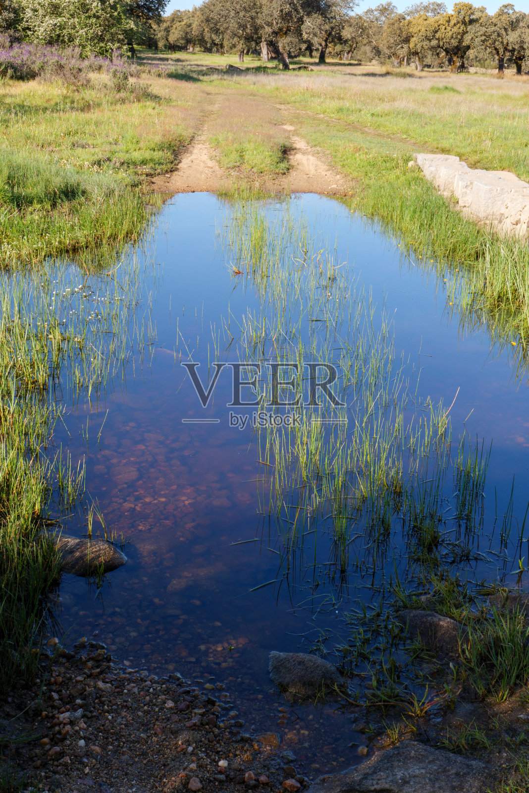 西班牙卡斯蒂利亚León,埃斯特雷马杜拉Aldeanuevo和Calzada de b<s:1> jar之间的拉普拉塔大道上美丽的小路和风景。照片摄影图片