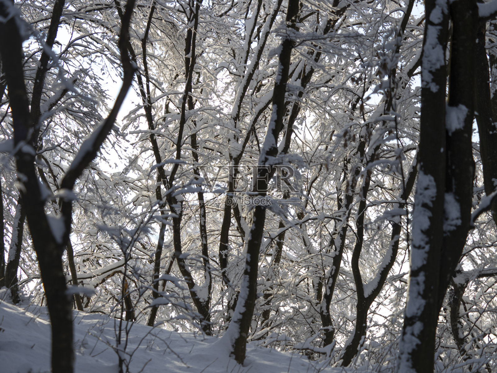 冬天的风景照片摄影图片