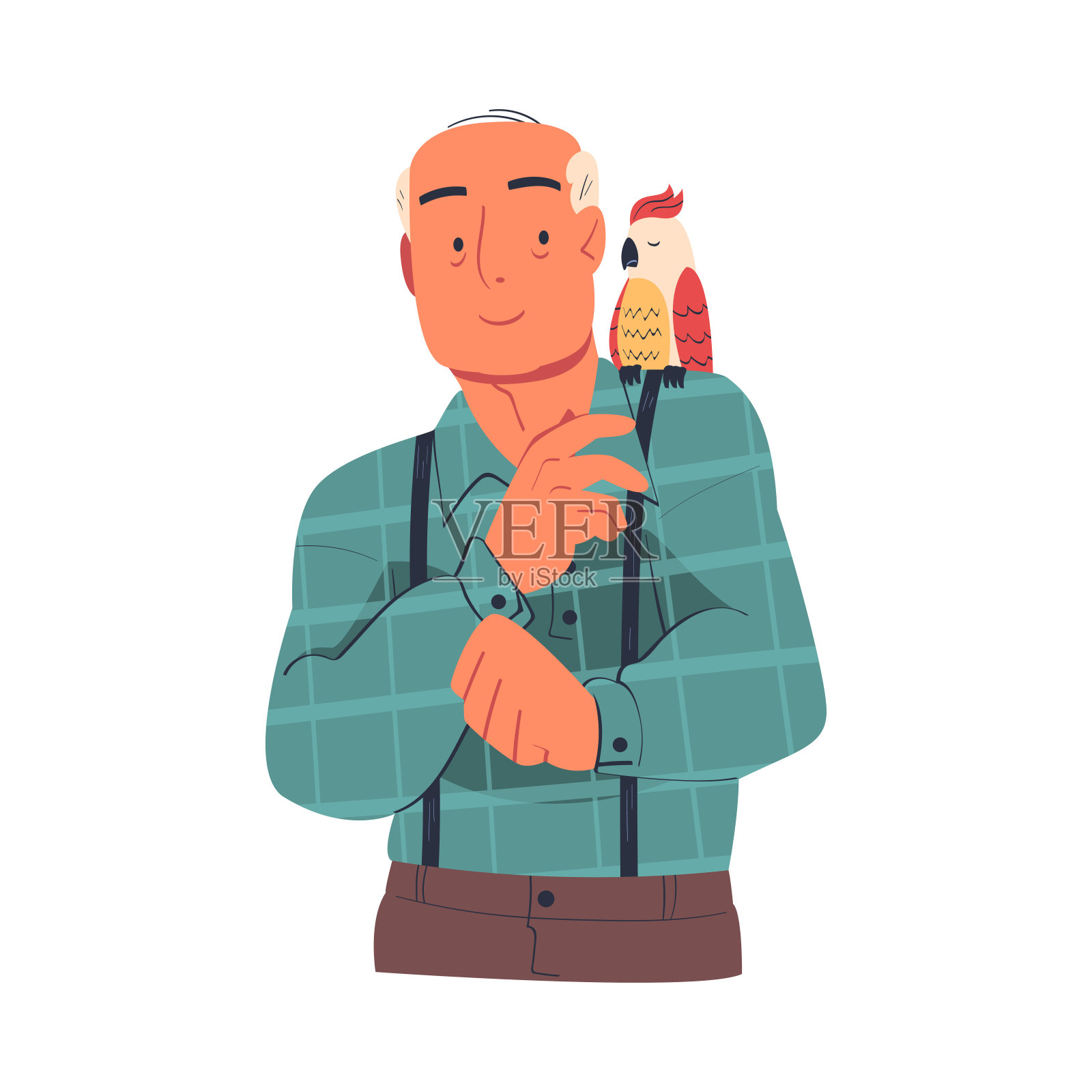 高级男子人物与鹦鹉在他的肩膀上作为他最喜欢的宠物矢量插图插画图片素材