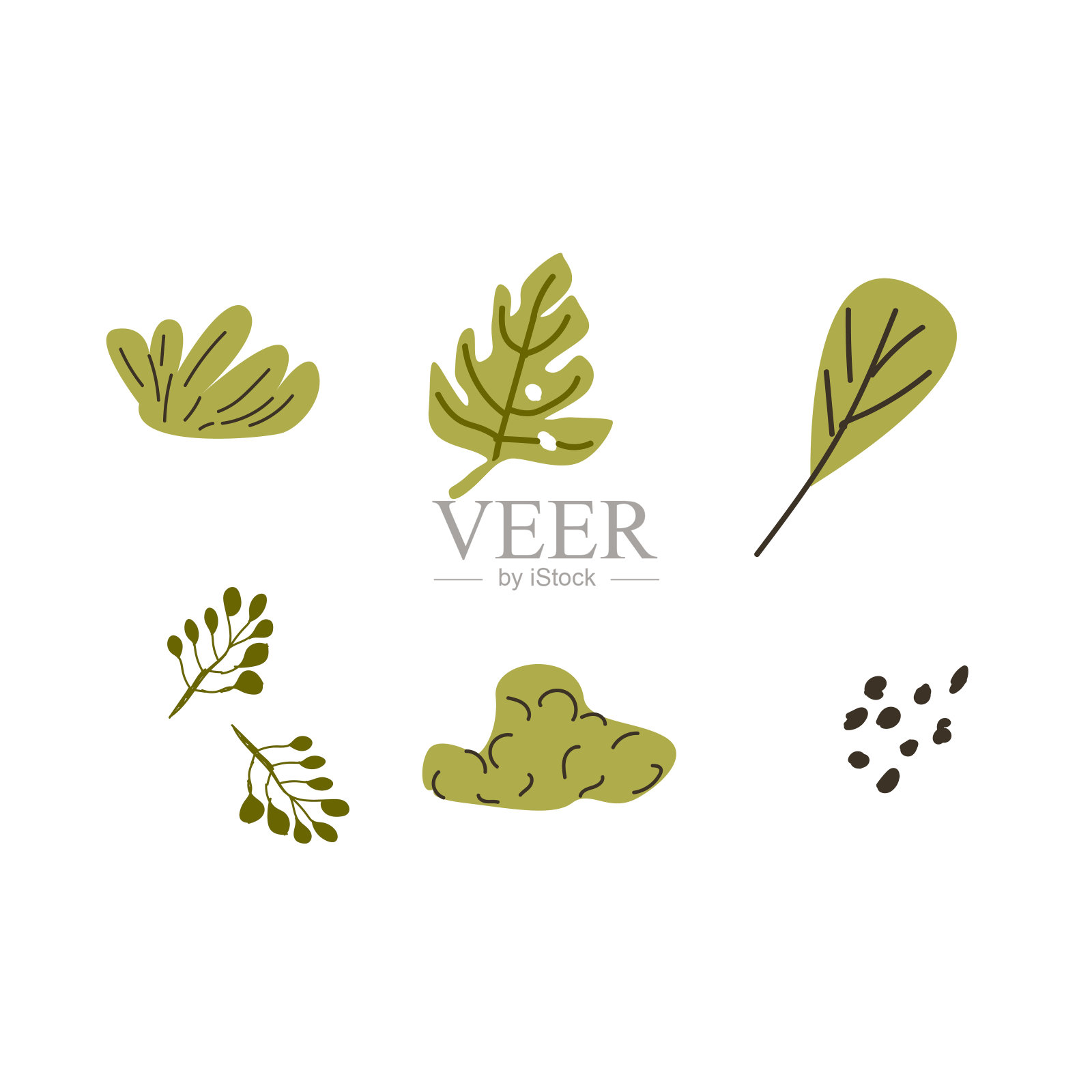 一套手绘花卉元素热带树叶插画图片素材