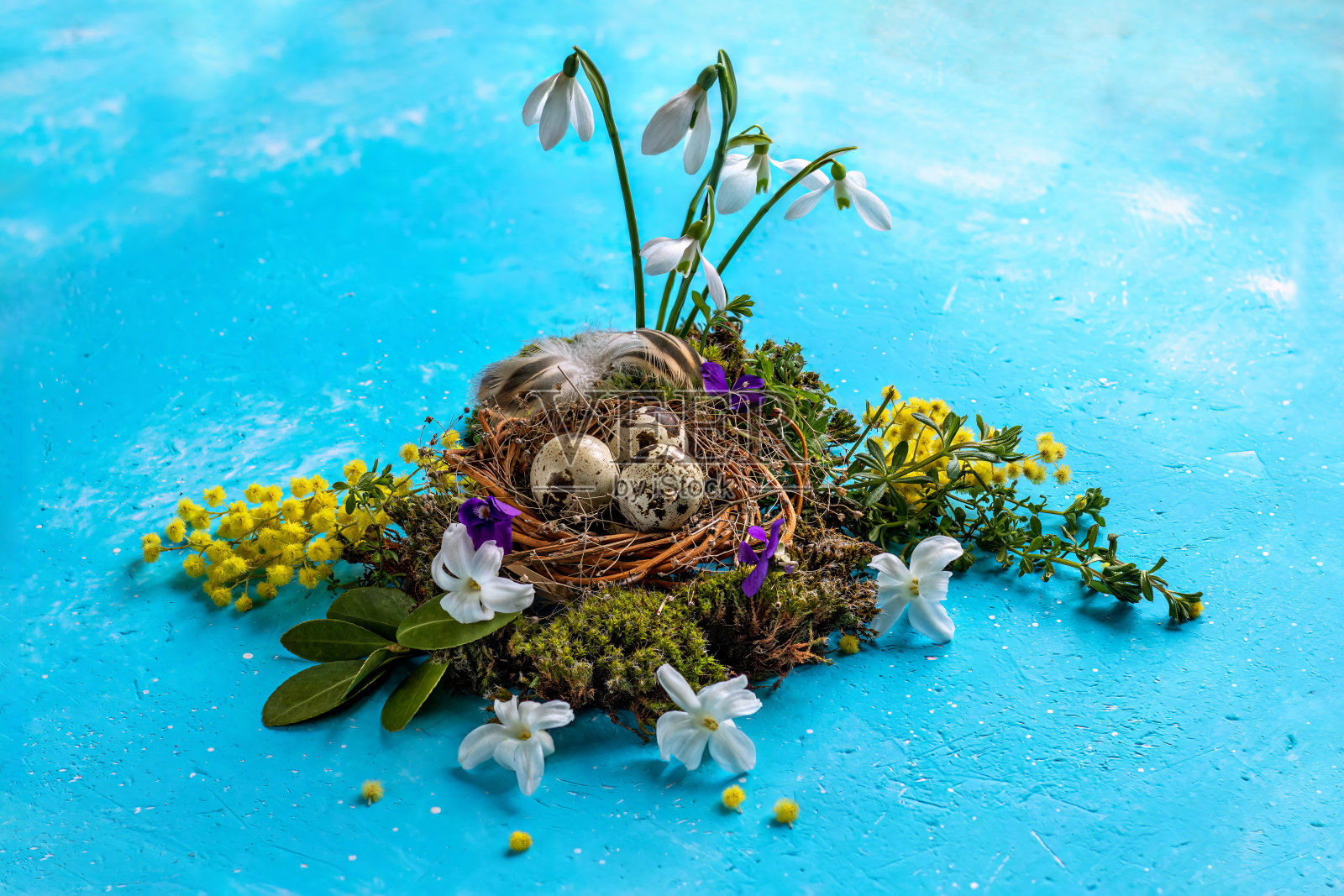 明亮的绿松石背景上的鸟窝。复活节的安排。照片摄影图片