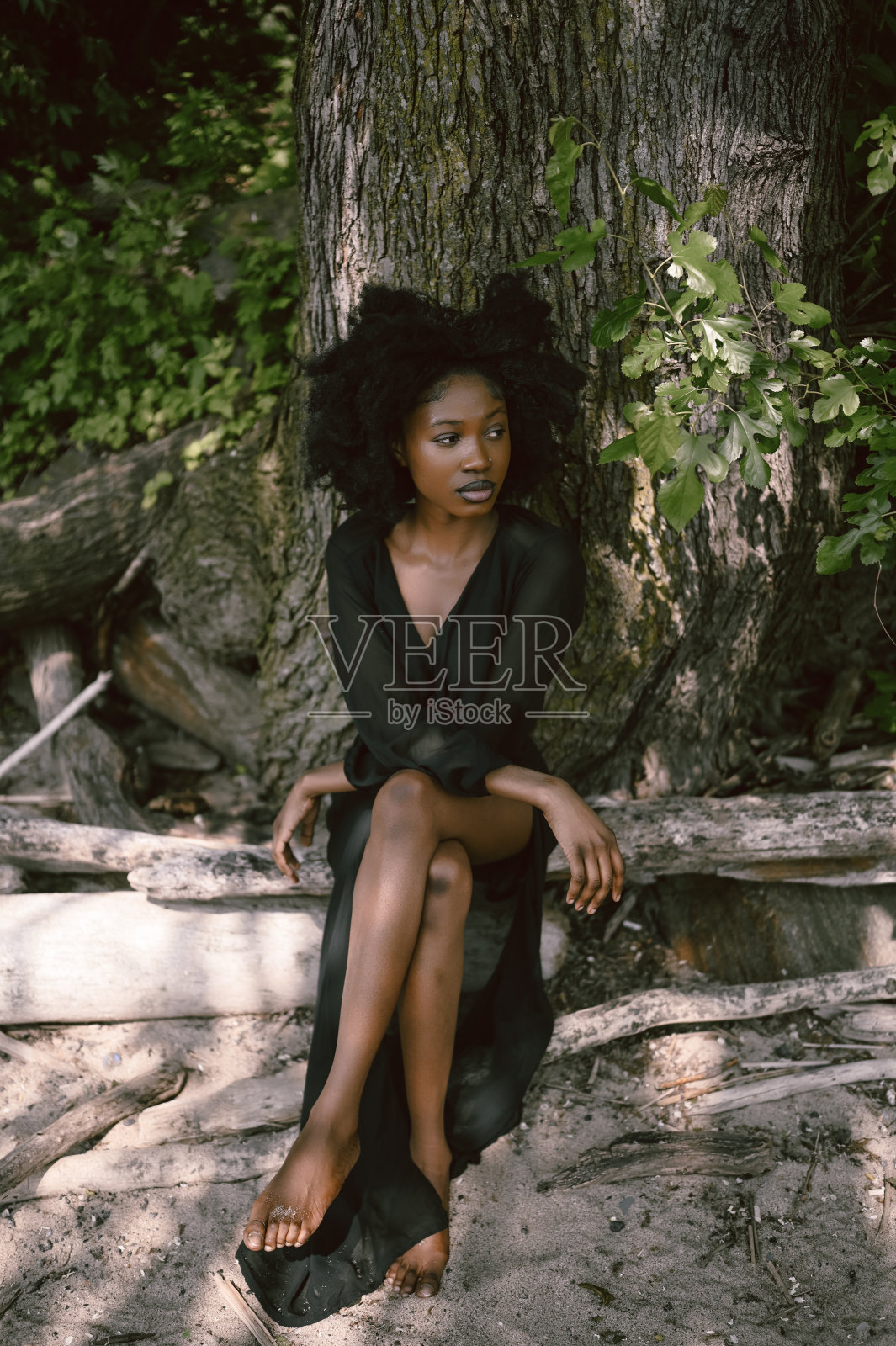 美丽的年轻非裔美国黑人妇女在阳光明媚的夏日,在沙滩上与大绿树合影。美容,天然皮肤身体护理和水疗。照片摄影图片