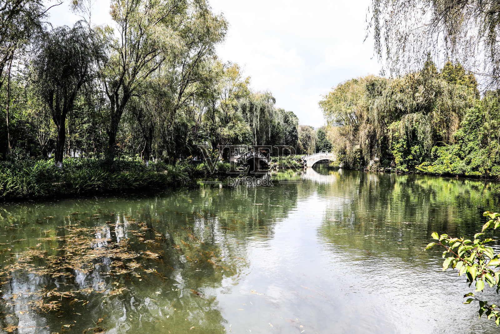 中国云南昆明丰泽园植物园石拱桥照片摄影图片