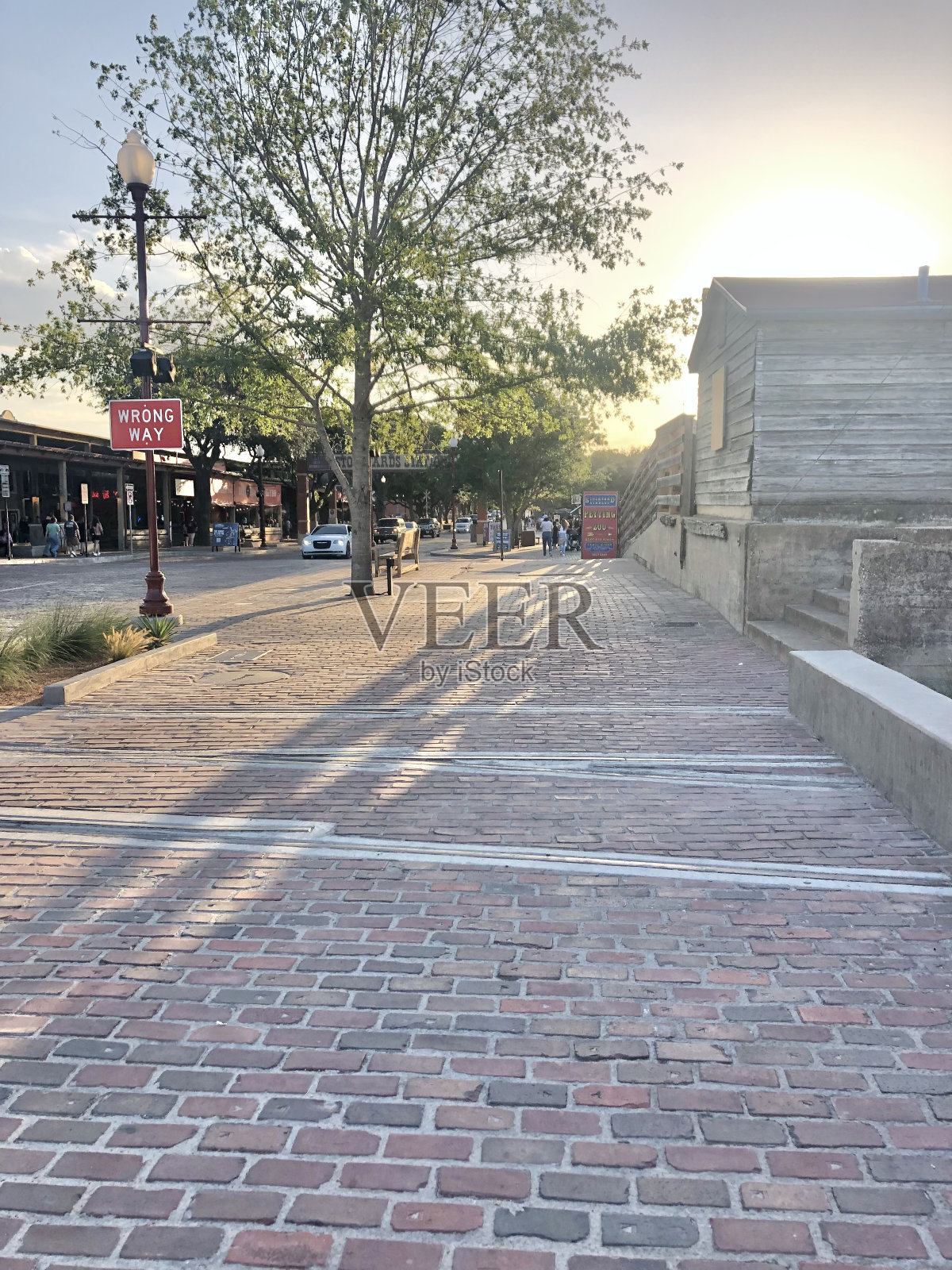 沃斯堡畜牧场照片摄影图片