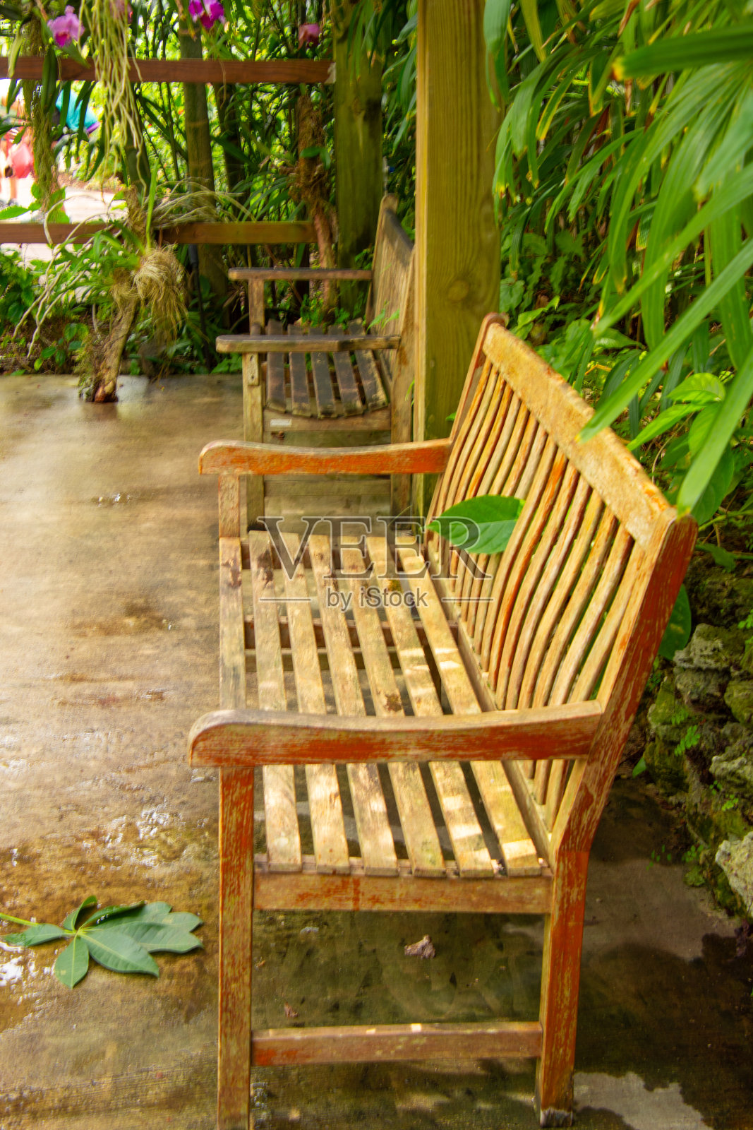 不错的休息长凳照片摄影图片